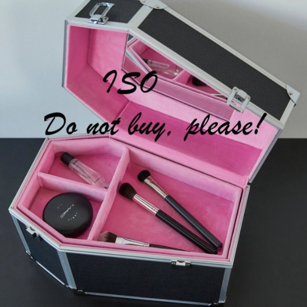 ISO!! Dolls Kill Ghoul Approved Trunk Coffin makeup case [ IN SEARCH OF]